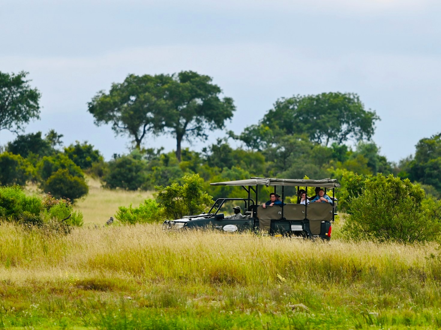 Capturing The Magic Of The Great Migration