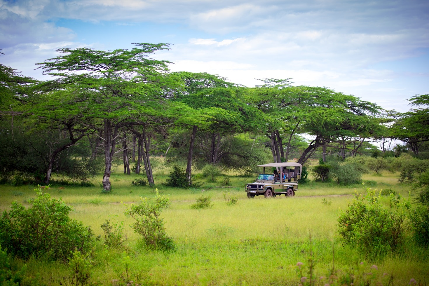Essential Tips For First Time Safari Travelers